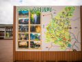 wild vegitable 2023 05 14