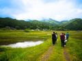 wild vegitable 2023 05 14