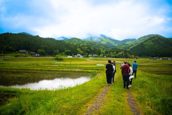 wild vegitable 2023 05 14