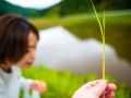 wild vegitable 2023 05 14