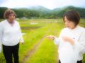 wild vegitable 2023 05 14