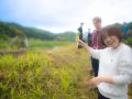 wild vegitable 2023 05 14
