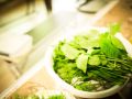 wild vegitable 2023 05 14