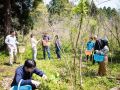 sansai people 9