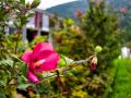 DSC00220