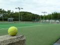 mizuhotennis2