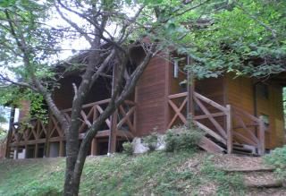 cotege  1 b