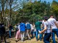ohanami 4 7 2019 10