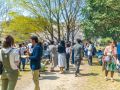 ohanami 4 7 2019 9
