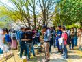ohanami 4 7 2019 20