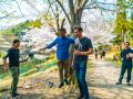ohanami 4 7 2019 22