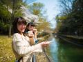 ohanami 4 7 2019 28