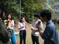 ohanami 4 7 2019 29
