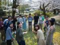 ohanami 4 7 2019 33