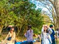 ohanami 4 7 2019 44