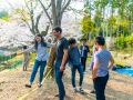 ohanami 4 7 2019 45