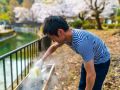 ohanami 4 7 2019 51