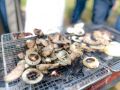 bbq 10.20.2019 18