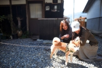 [First project] A one-day trip enjoying wild vegetable picking, rice cooked in a traditional hearth, and a barbecue at a 150-year-old traditional house at the northern tip of Lake Biwa, with a shy dog♫